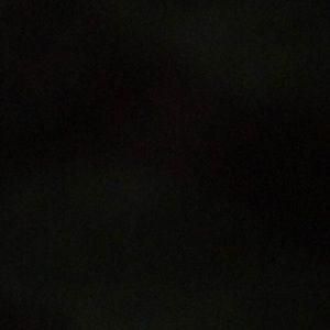 Meet your Posher, Shea